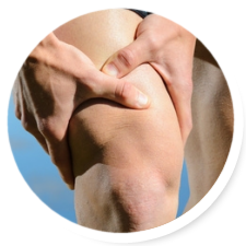 chiropractic, chiropractor, florida, clearwater, florida
